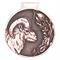 Medaile podle hodnocení CIC muflon č.847 - bronzová medaile muflon